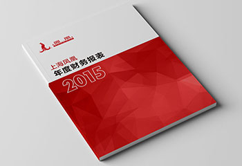 j9官网2015年度财务报表
