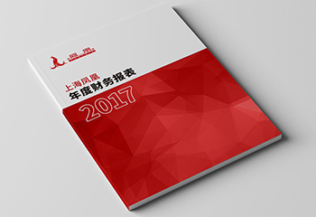 j9官网2017年度财务报表